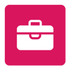 bipicons - career 4